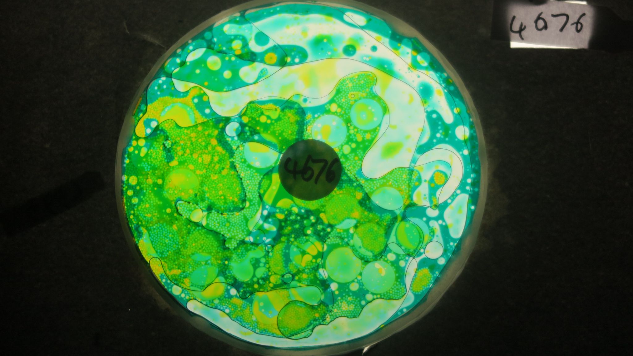 BV4676 bubble vision oil wheel